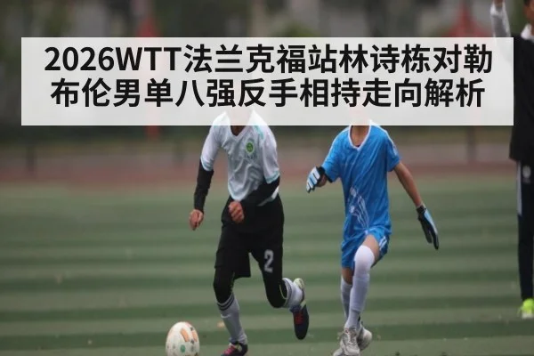 2026WTT法兰克福站林诗栋对勒布伦男单八强反手相持走向解析